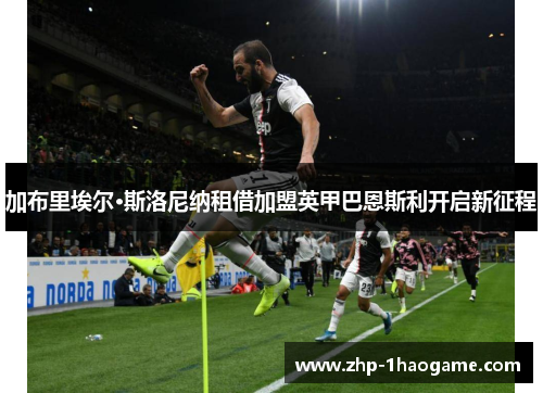 加布里埃尔·斯洛尼纳租借加盟英甲巴恩斯利开启新征程